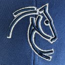Cap Navy Silver