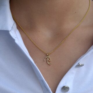 Pendant gold with 35 diamonds