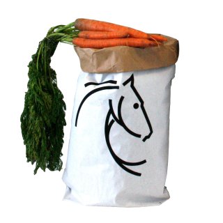 Paper Bag Medium